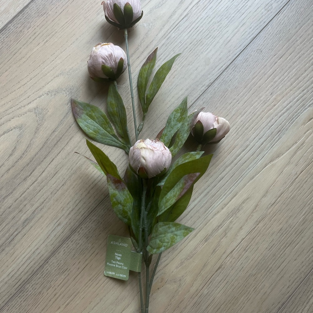 Ashland Tan Peony Stems (4 stems) - Picture 3 of 3